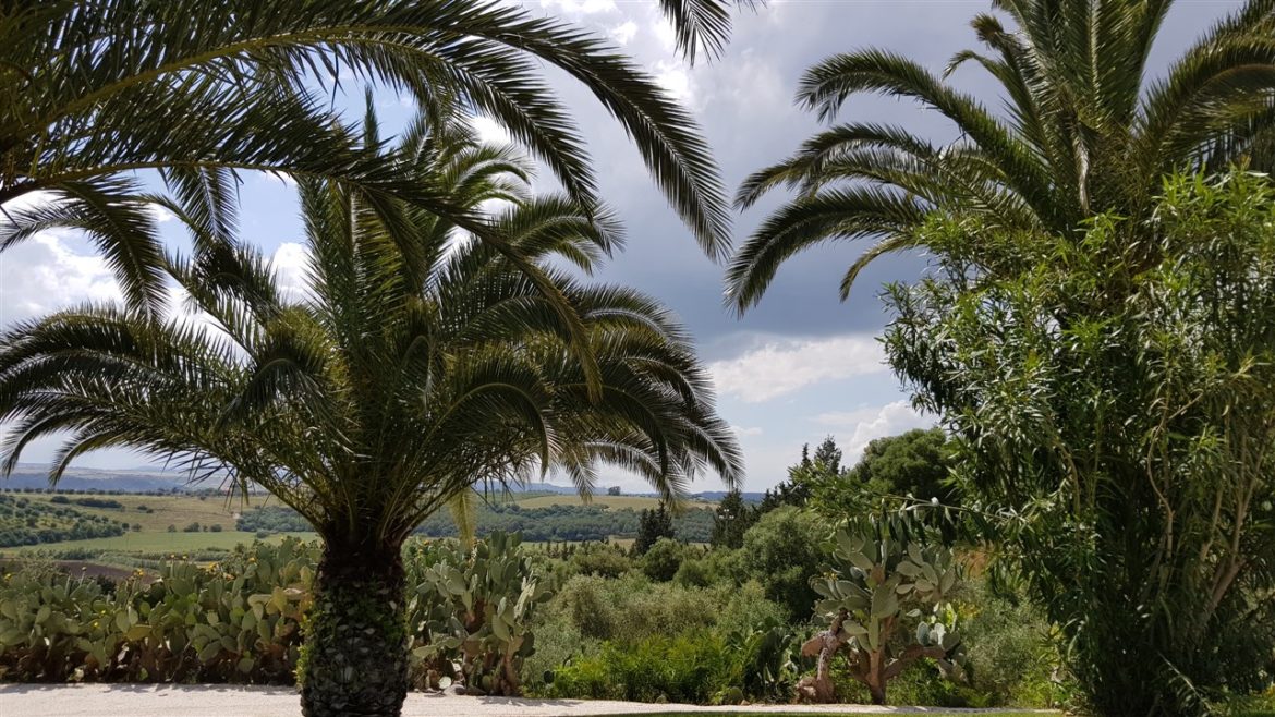 Borgo Valle Rita in una zona verdissima tra Puglia e Basilicata. Una struttura dove relax e gastronomia sono vincenti. A pochi km da Matera capitale europea della cultura