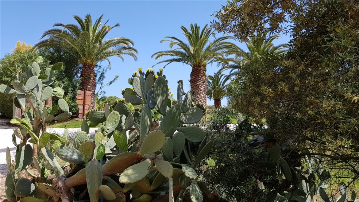 Borgo Valle Rita in una zona verdissima tra Puglia e Basilicata. Una struttura dove relax e gastronomia sono vincenti. A pochi km da Matera capitale europea della cultura