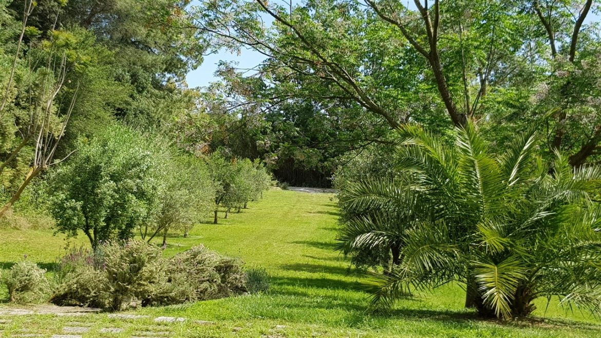 Borgo Valle Rita in una zona verdissima tra Puglia e Basilicata. Una struttura dove relax e gastronomia sono vincenti. A pochi km da Matera capitale europea della cultura