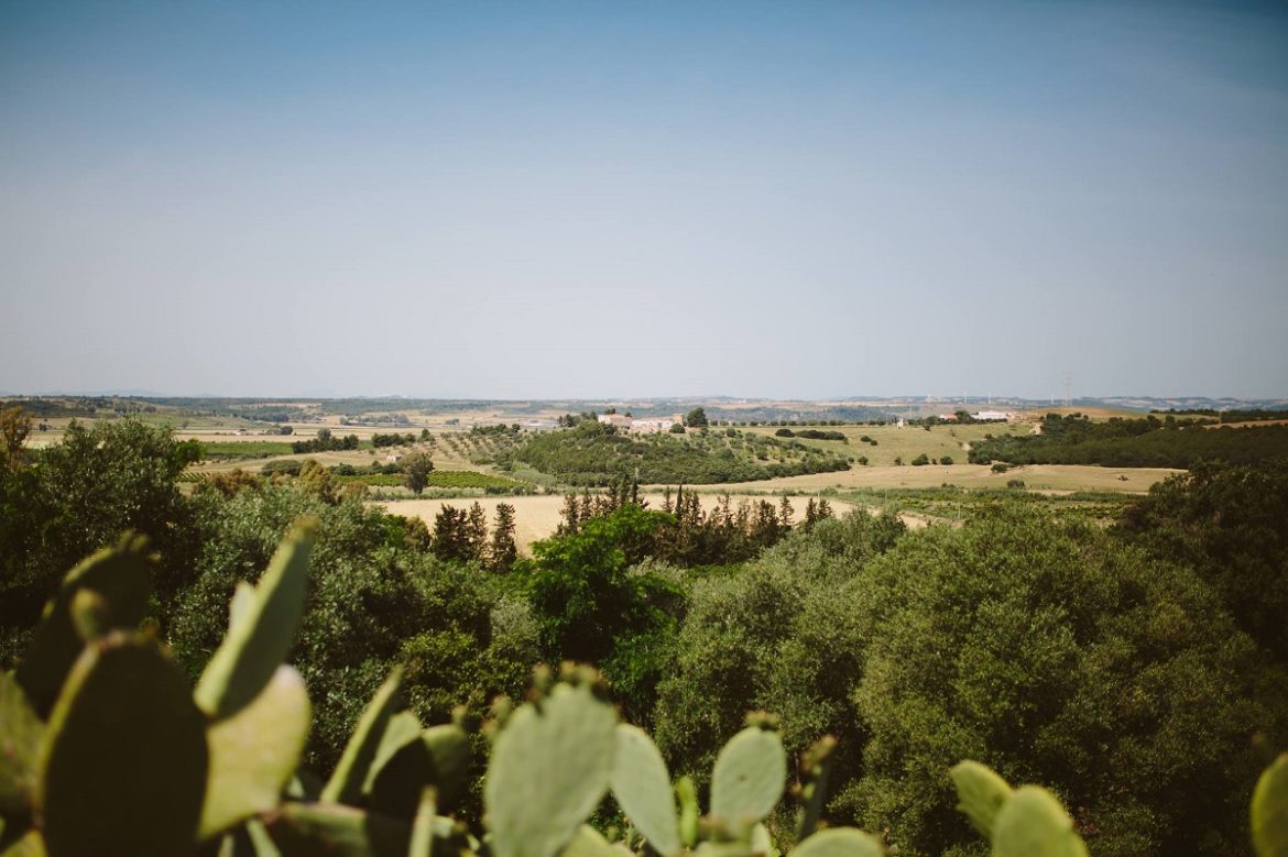 Borgo Valle Rita in una zona verdissima tra Puglia e Basilicata. Una struttura dove relax e gastronomia sono vincenti. A pochi km da Matera capitale europea della cultura