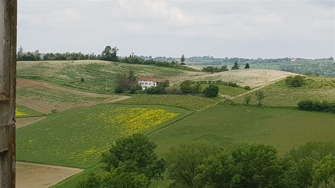 In Monferrato tra paesaggi e infernot UNESCO; fino a settembre anche per celebrare Angelo Morbelli e la sua arte dedicata al territorio