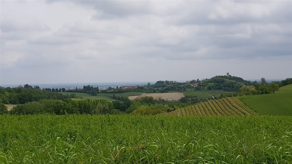 In Monferrato tra paesaggi e infernot UNESCO; fino a settembre anche per celebrare Angelo Morbelli e la sua arte dedicata al territorio