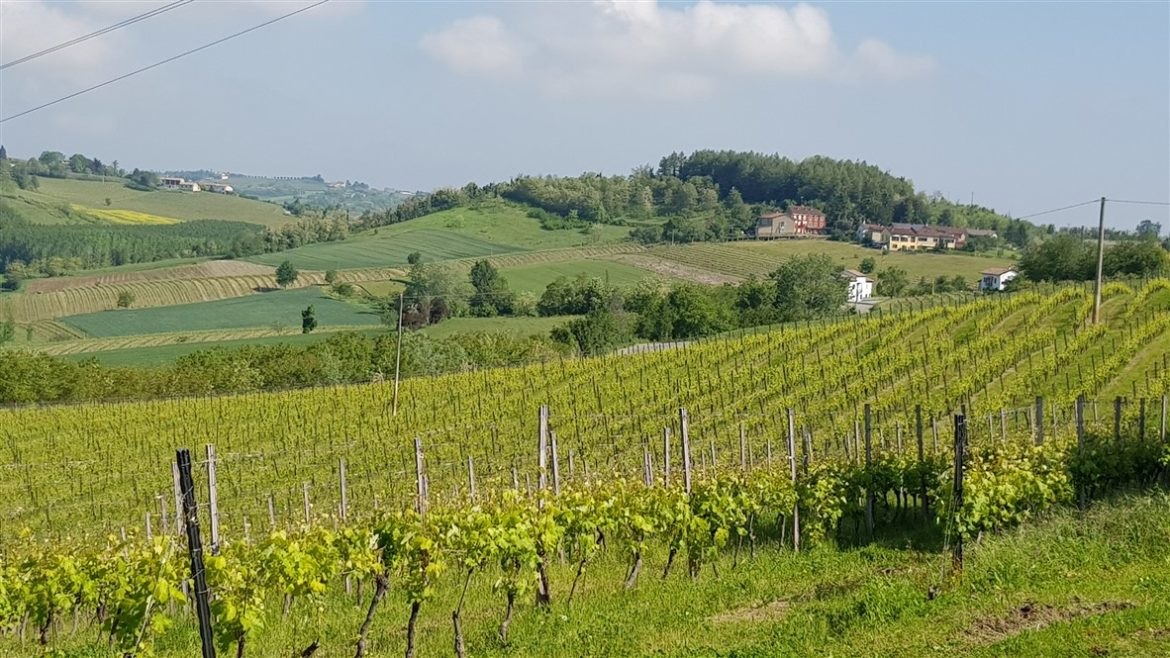 In Monferrato tra paesaggi e infernot UNESCO; fino a settembre anche per celebrare Angelo Morbelli e la sua arte dedicata al territorio