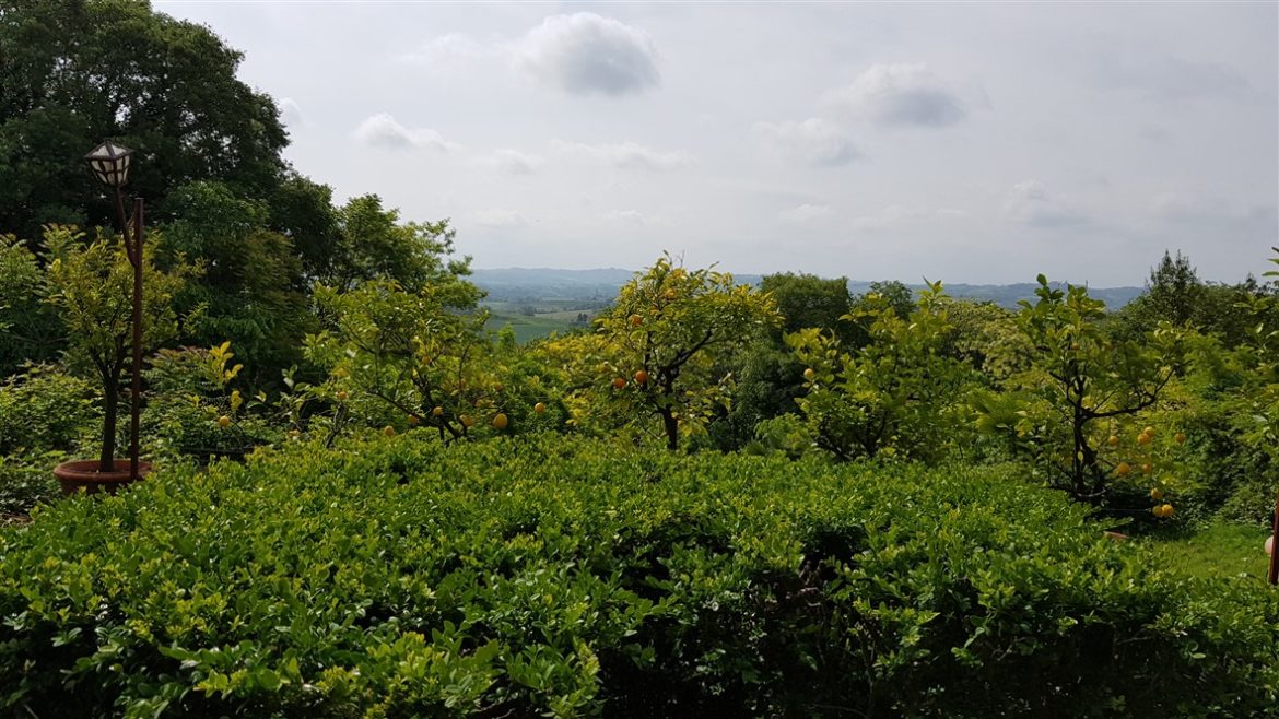 In Monferrato tra paesaggi e infernot UNESCO; fino a settembre anche per celebrare Angelo Morbelli e la sua arte dedicata al territorio