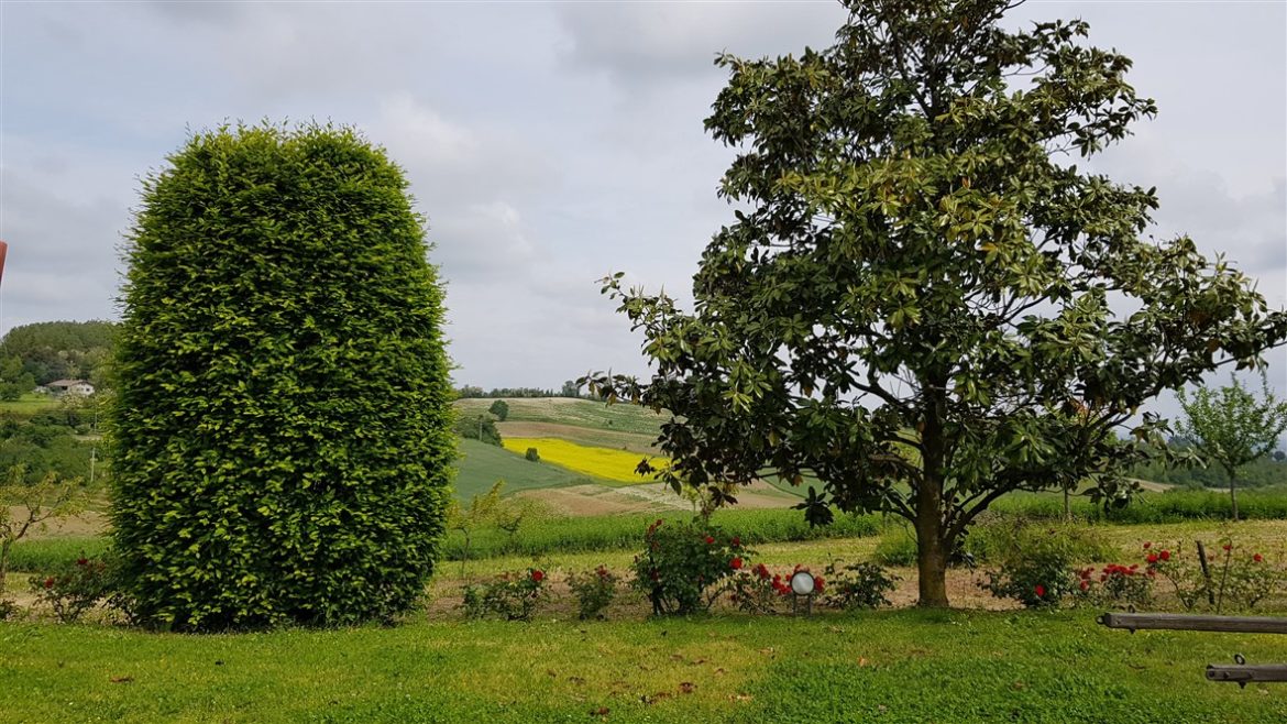 In Monferrato tra paesaggi e infernot UNESCO; fino a settembre anche per celebrare Angelo Morbelli e la sua arte dedicata al territorio