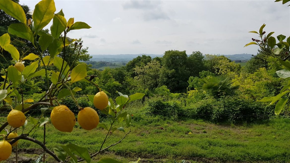 In Monferrato tra paesaggi e infernot UNESCO; fino a settembre anche per celebrare Angelo Morbelli e la sua arte dedicata al territorio