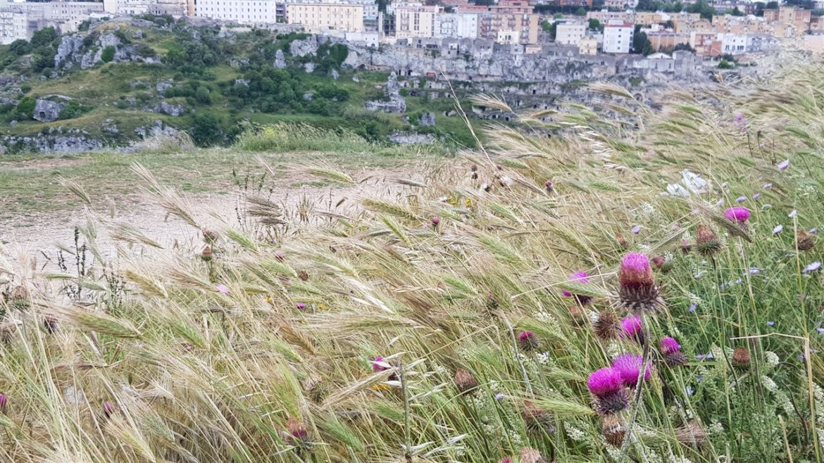 Borgo Valle Rita in una zona verdissima tra Puglia e Basilicata. Una struttura dove relax e gastronomia sono vincenti. A pochi km da Matera capitale europea della cultura