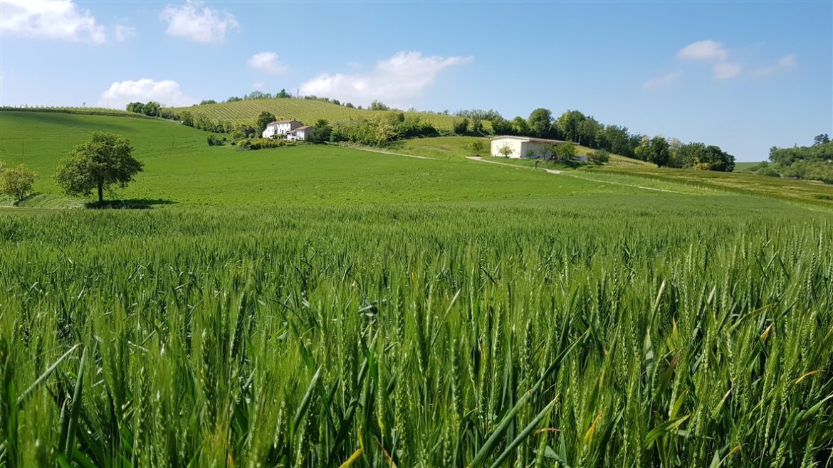 Monferrato Autentico, eventi e tartufi