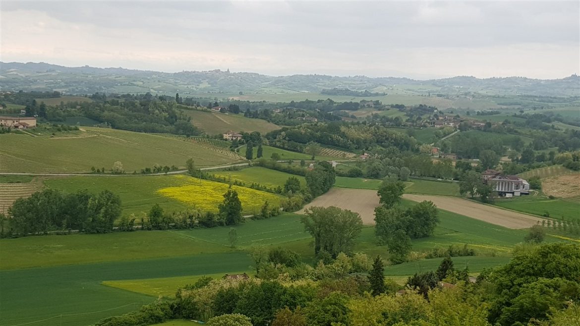 Monferrato Autentico, eventi e tartufi