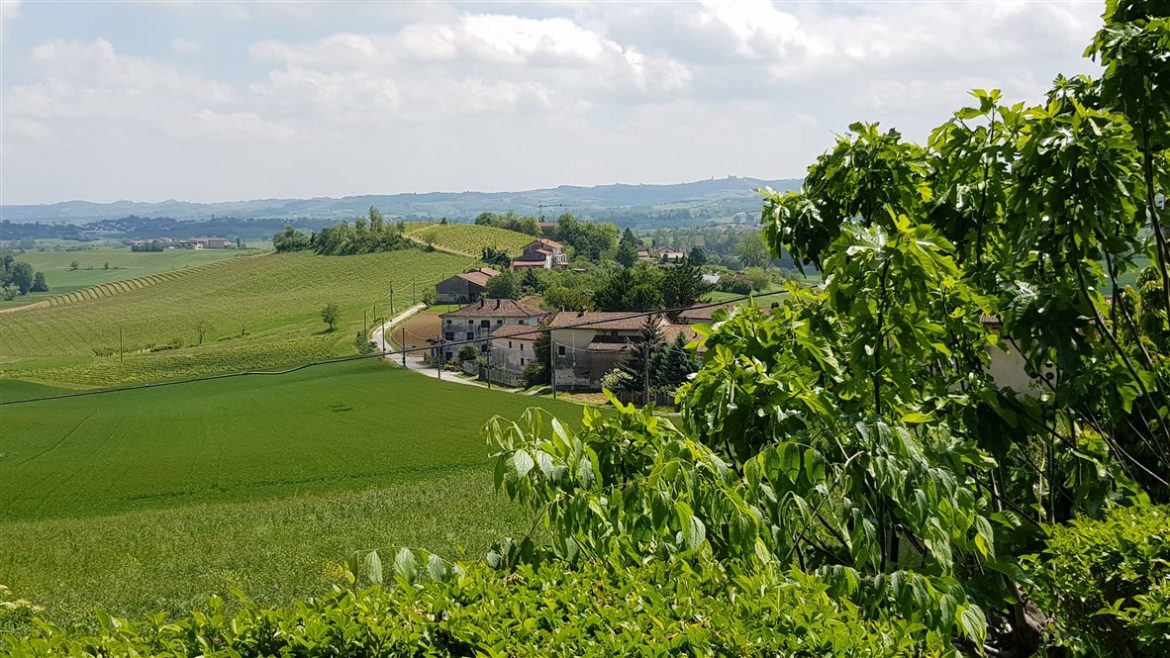 Monferrato Autentico, eventi e tartufi