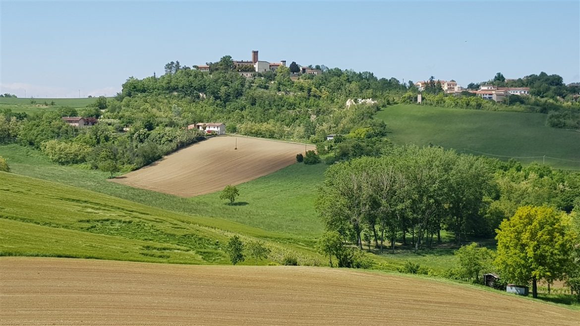 Monferrato Autentico, eventi e tartufi