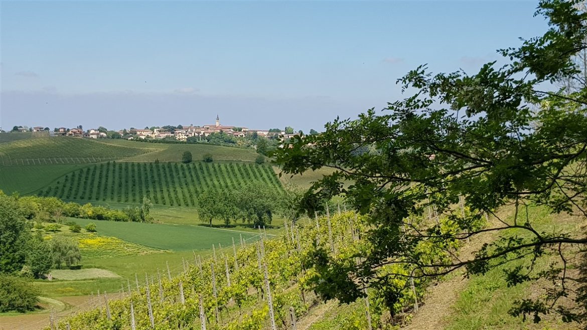 Monferrato Autentico, eventi e tartufi